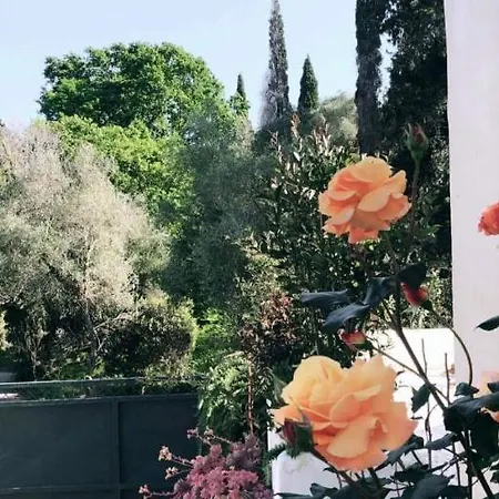 Anasandra - 3 Bedroom Kompítsion