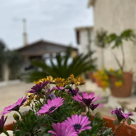 Villa Anasandra - 3 Bedroom Kompítsion