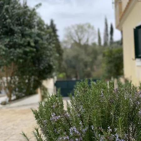 Anasandra - 3 Bedroom