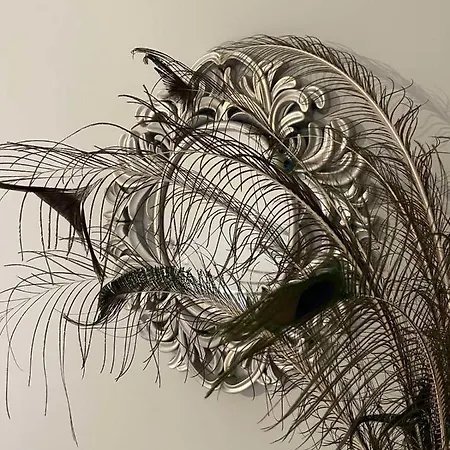 Anasandra - 3 Bedroom Villa Kompítsion