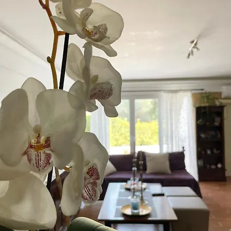 Anasandra - 3 Bedroom Kompítsion